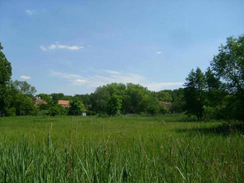 Jagdschloss Moenchbruch Mörfelden-Walldorf Dış mekan fotoğraf